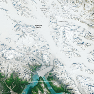 Illustration for article titled This Rare Advancing Glacier Is Set To Transform An Alaskan Fjord